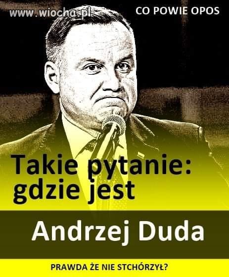 Ktokolwiek widział, ktokolwiek wie ...