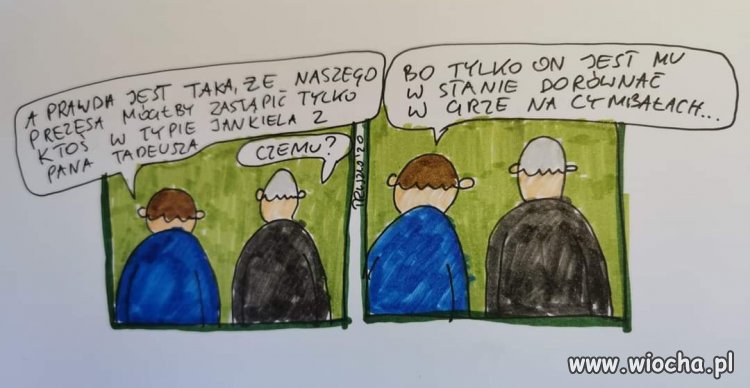 Zastępca Prezesa
