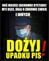 Taki apel ...