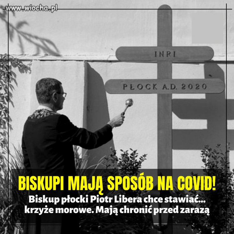 No i już, żaden wirus nam nie straszny ...