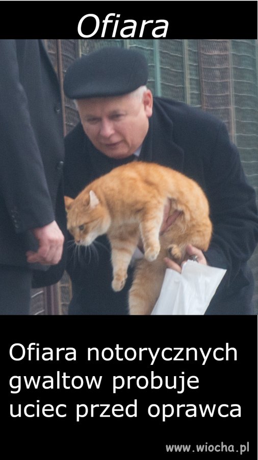 Ofiara