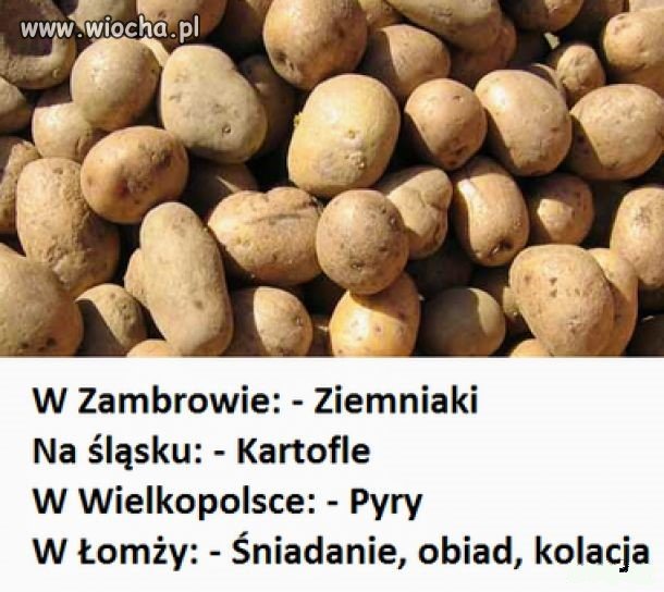 Ciekawostka językowa