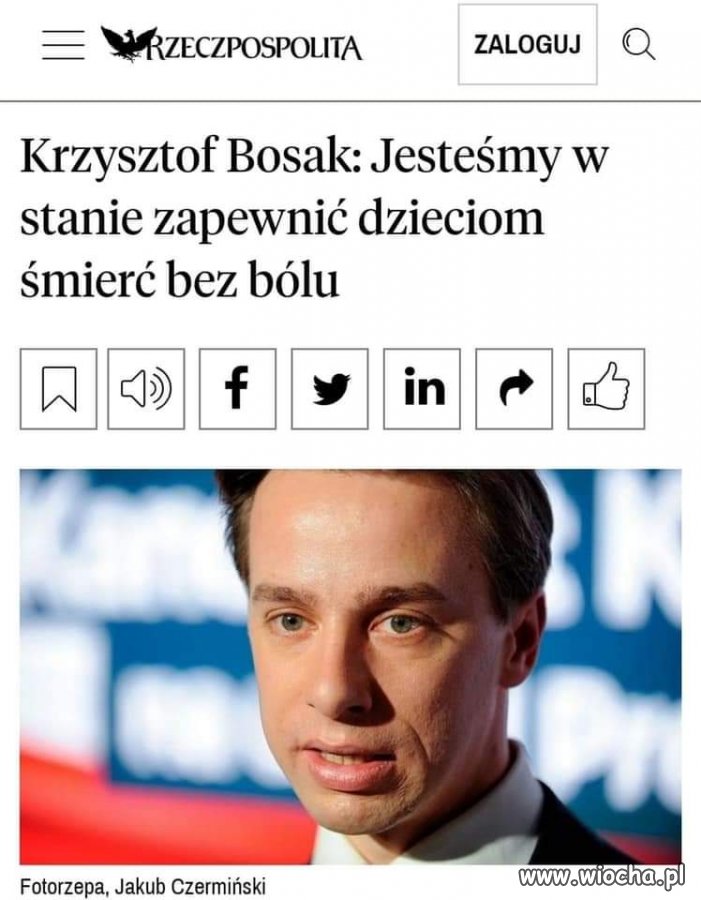 Mistrz 