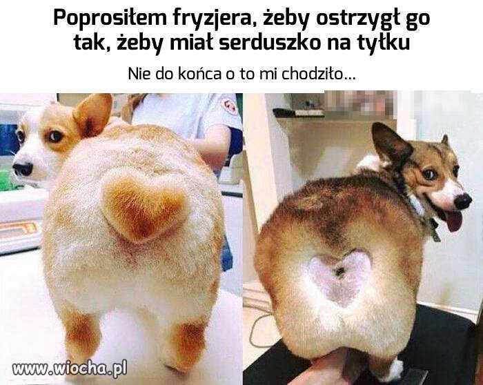 Nieporozumienie 