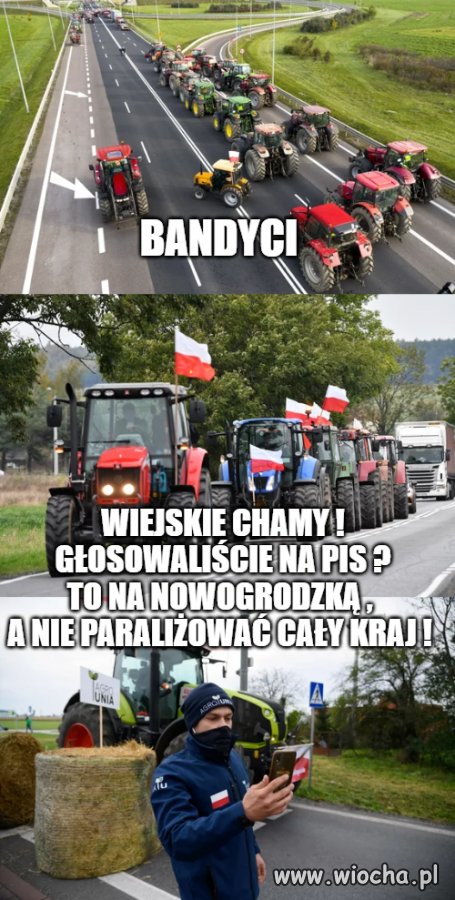 Protest 