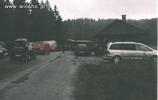 Mafia rumuńskich grzybiarzy powróciła