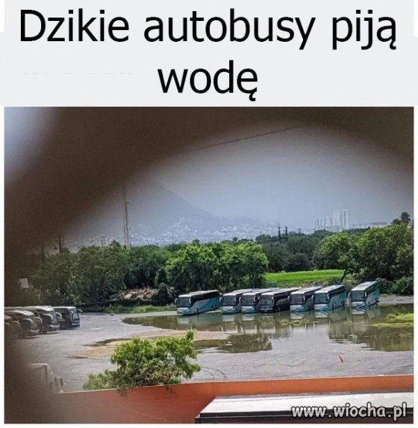 Tylko ciii...