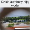 Tylko ciii...