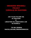 OBURZENI WŚCIEKLI POLACY CZEKAJĄ NA KACZORA