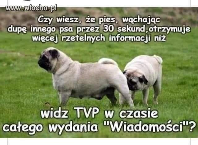 Drogi odbiorco telewizji naziemnej