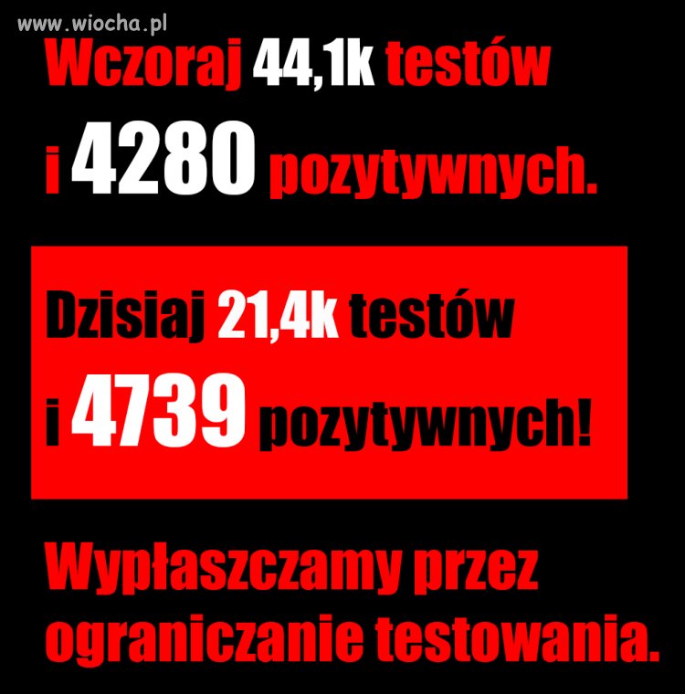 Bez tytułu. 