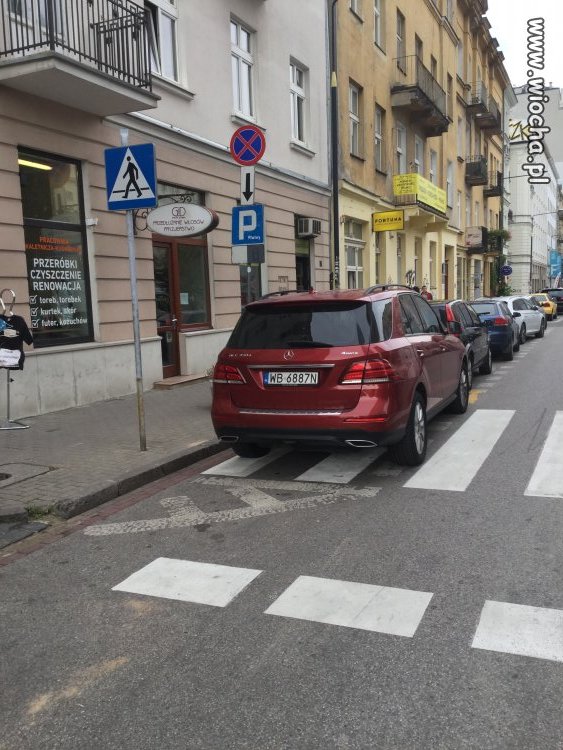 Mistrz parkowania