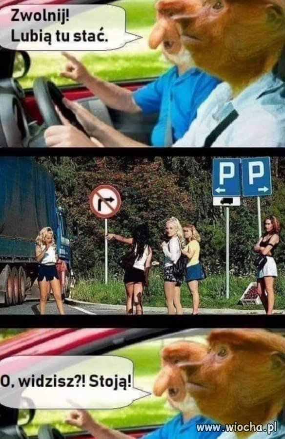Zwolnij 