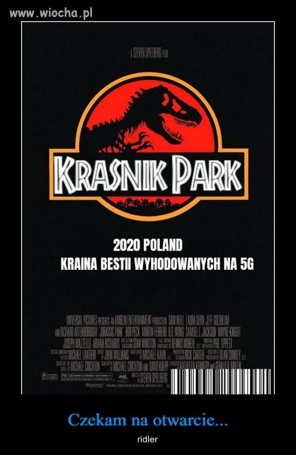 Już wkrótce w kinach  