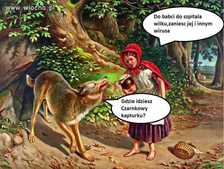 Czarnkowy kapturek