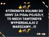 Taki przekaz ...