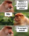 Piękna Halyna
