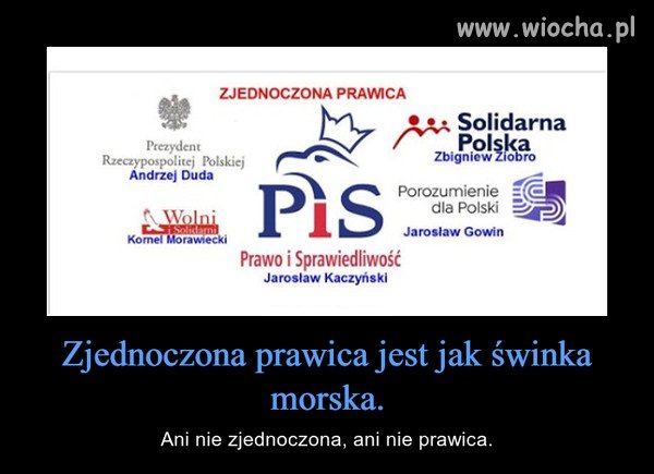 Dokładnie tak.