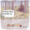 Bieganie w lesie...