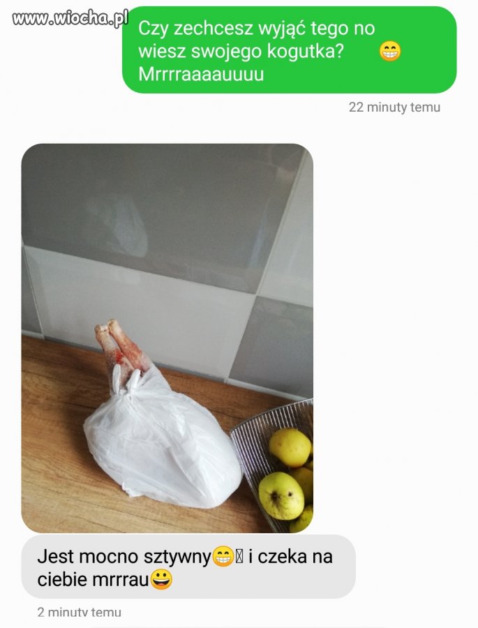 Kogutek