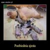 Ja po obiedzie też tak wyglądam 