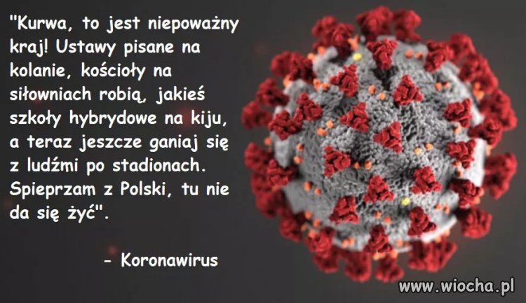 Oficjalne oświadczenie