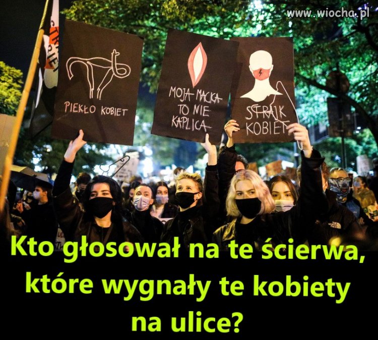 Kto głosował na te ścierwa...