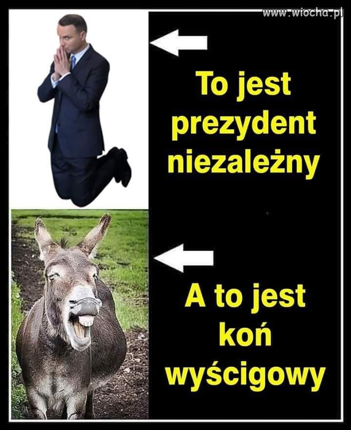 Czego jeszcze nie rozumiesz ?