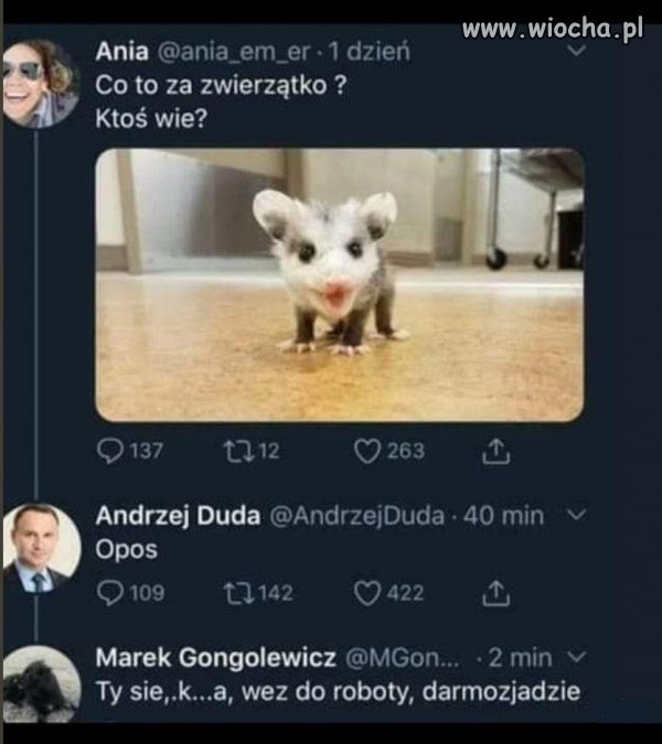 Czy to był ktoś czy coś?