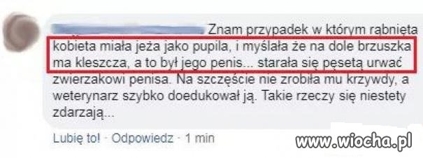 Rozmowy weterynarzy 