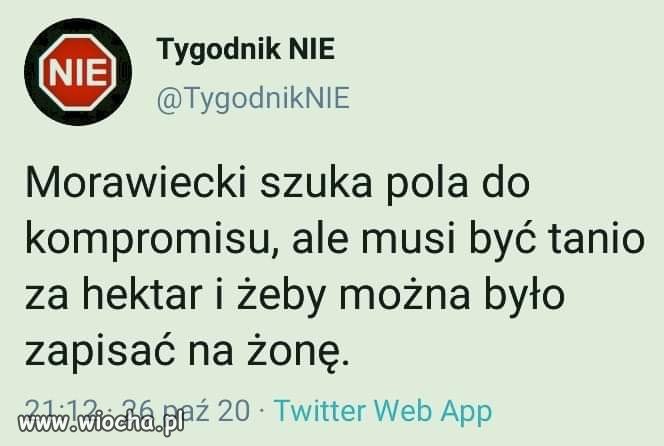 Pole do kompromisu. 