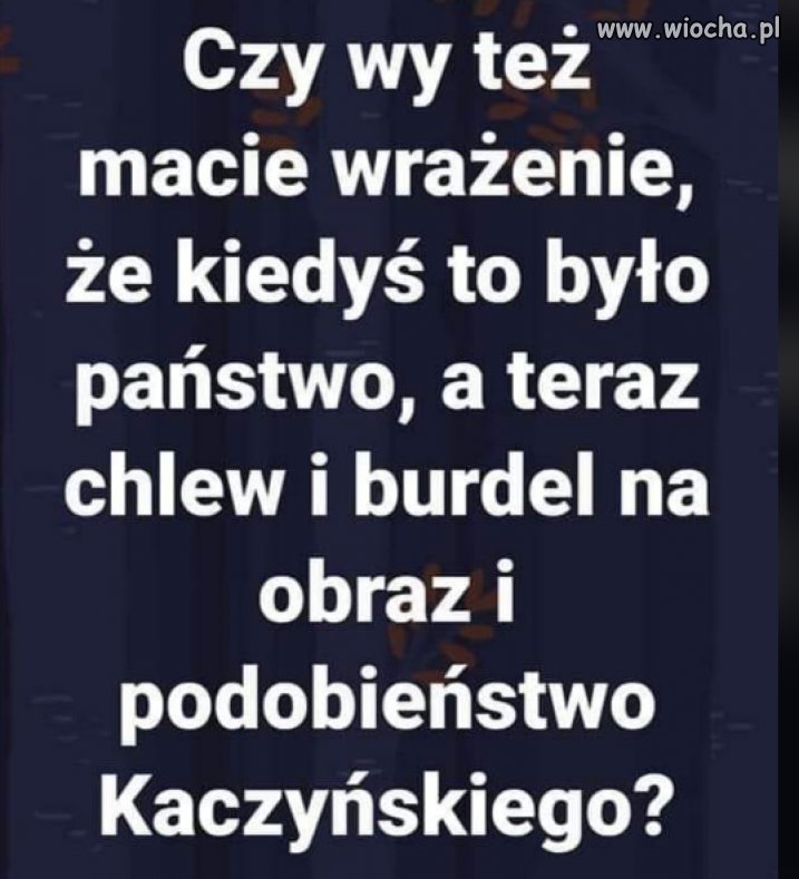 Zdecydowanie tak.