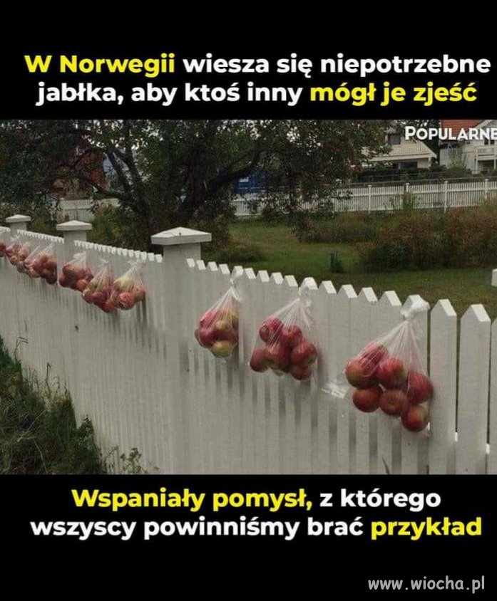 Brawo za wspaniały pomysł  