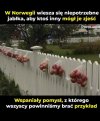 Brawo za wspaniały pomysł  