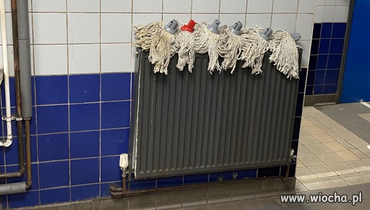 Blondyny w wc - dobrze wszystko zdezynfekowane