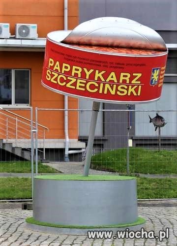 Pomnik pamiętnego