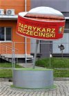 Pomnik pamiętnego