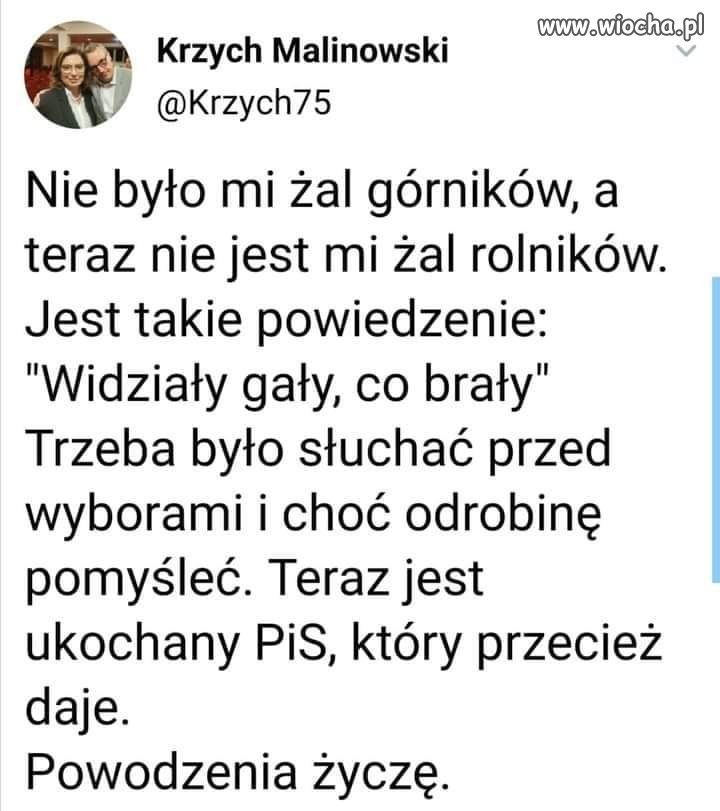 Widziały gały 