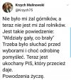 Widziały gały 