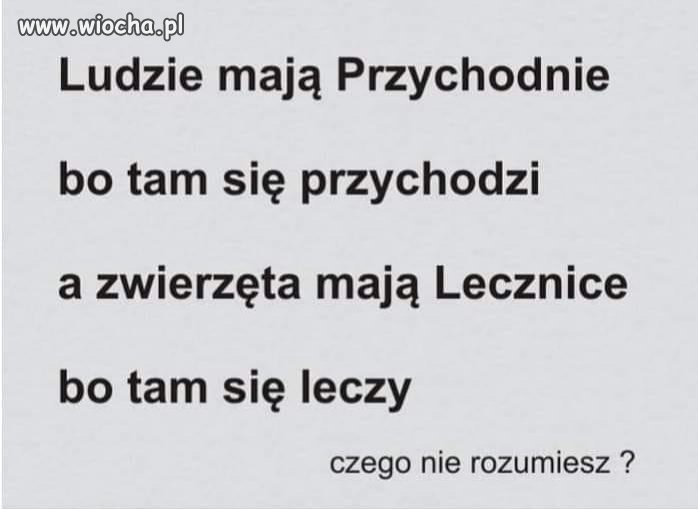 Logiczne!