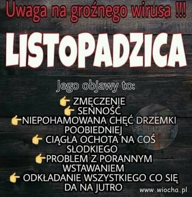 Antidotum poszukuję.