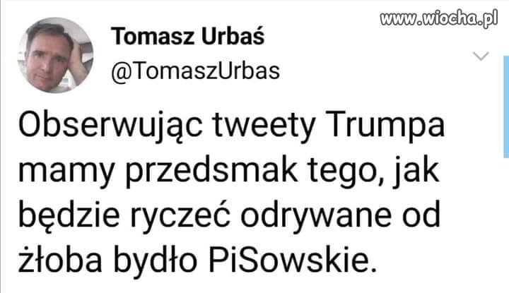 Słychać wycie?