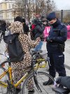 Policja spisuje lamparta na rowerze?
