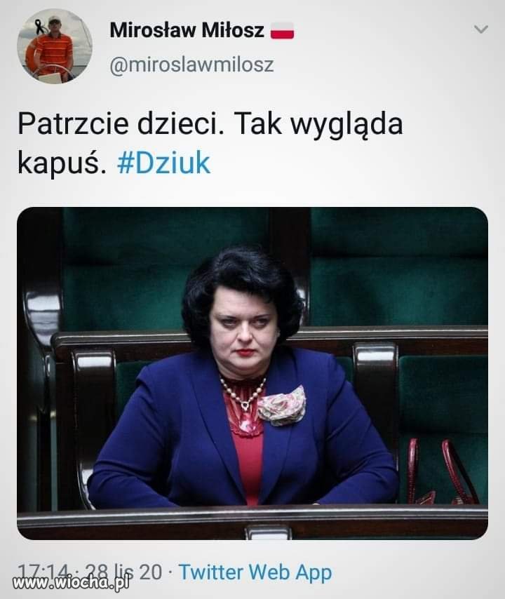 Tak wygląda kapuś.
