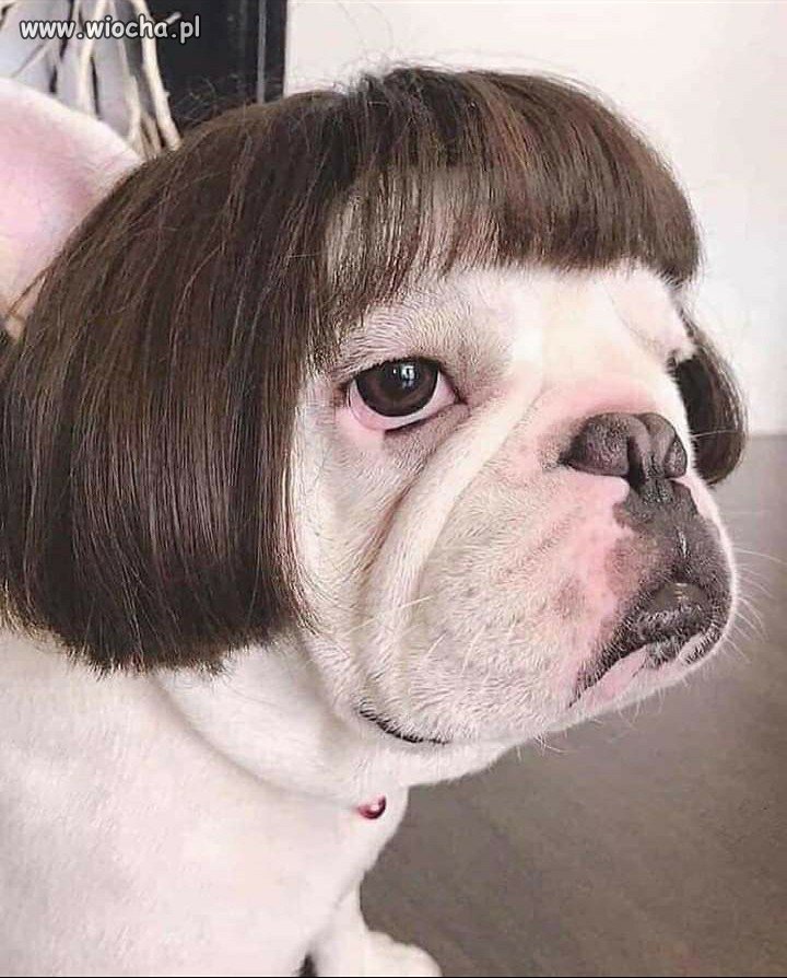 Profil Kai Godek na...