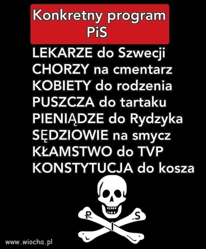 Konkretny program PiS