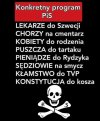 Konkretny program PiS