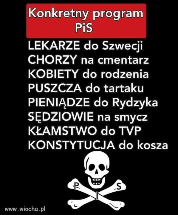 Konkretny program PiS