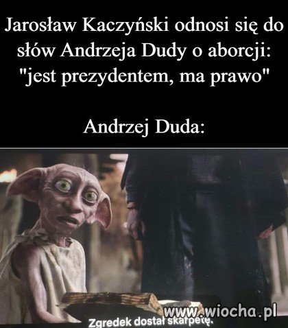 Zgredek dostał skarpetę...
