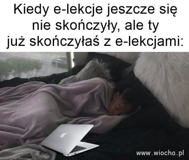 E-lekcje